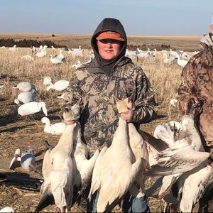 Meet your Posher, Nolan